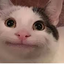 cring