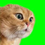 mad cat